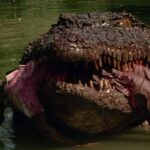 Crocodile Horror in Gonda