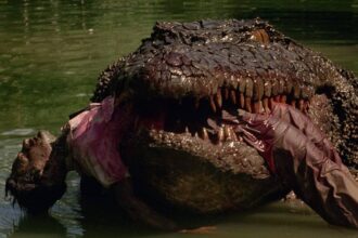 Crocodile Horror in Gonda