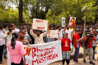 CJP 6a2785565516c